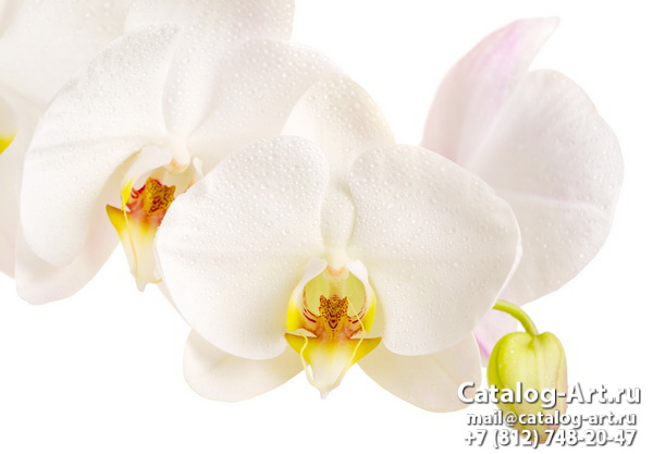 Натяжные потолки с фотопечатью - Белые орхидеи 11